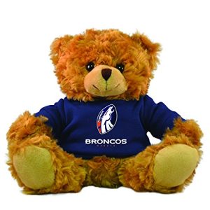 Gulf Coast Sales NFL Rally Men Hoodie Bear
