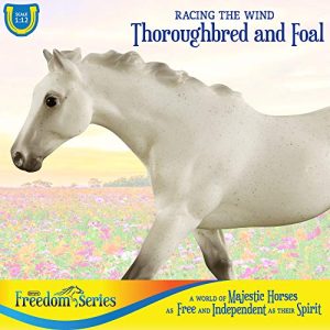 Breyer Freedom Series (Classics) Racing The Wind | Horse and Foal Toy Set | 1:12 Scale | Model #62208