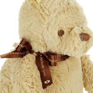 Disney Baby Classic Winnie the Pooh Stuffed Animal Plush Toy, 9 inches