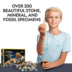 NATIONAL GEOGRAPHIC Rocks & Fossils Kit – 200 Piece Set Includes Geodes, Real Fossils, Rose Quartz, Jasper, Aventurine, & Many More Rocks, Crystals & Gemstones
