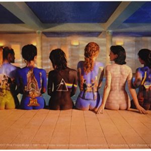 C&D Visionary Pink Floyd Back Catalogue Sticker Childrens Arts & Crafts Adhesives
