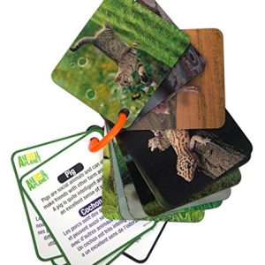 Animal Planet 3D Flash cards - Pets & Farm Animals