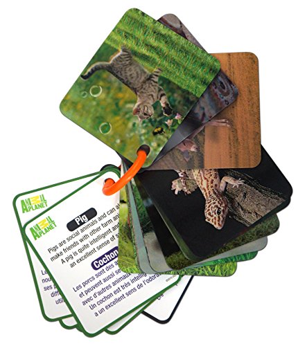 Animal Planet 3D Flash cards - Pets & Farm Animals