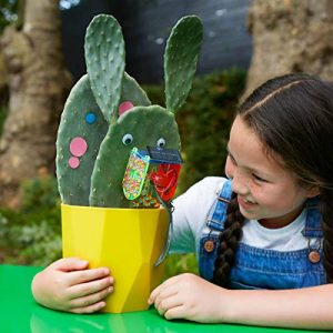 Tech Will Save Us Solar Thirsty Plant Kit | Educational Steam Toy, Ages 8 & Up