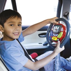 CASDON Sat Nav Steering Wheel
