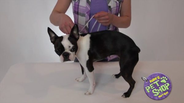 Rubie's Costume Company DC Comics Super Girl Pet Tutu Dress