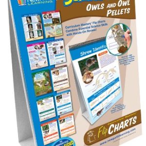 NewPath Learning 10 Piece Science Owls and Owl Pellets Curriculum Mastery Flip Chart Set, Grade 5-9