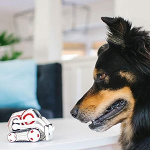 Cozmo (Old Packaging)