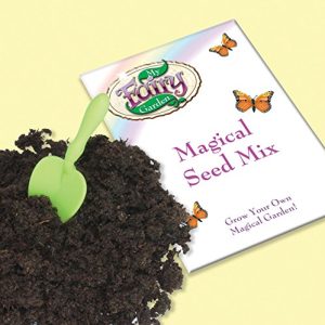 My Fairy Garden - Tree Hollow