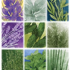 Herbaceous