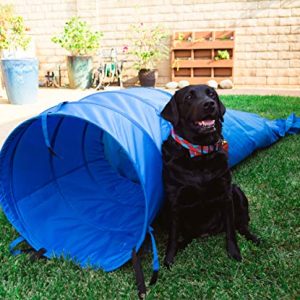 Pacific Play Tent Agility Dog Training Chute