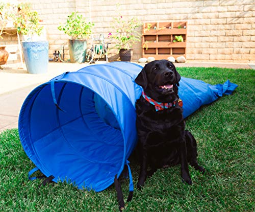 Pacific Play Tent Agility Dog Training Chute