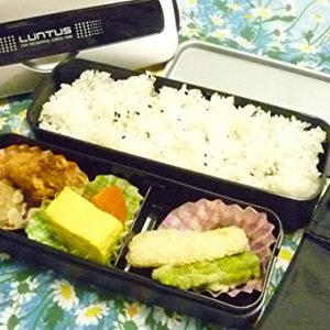 Bento Box Style 2 Layer Lunchbox by Asvel