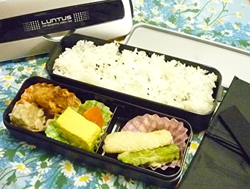 Bento Box Style 2 Layer Lunchbox by Asvel