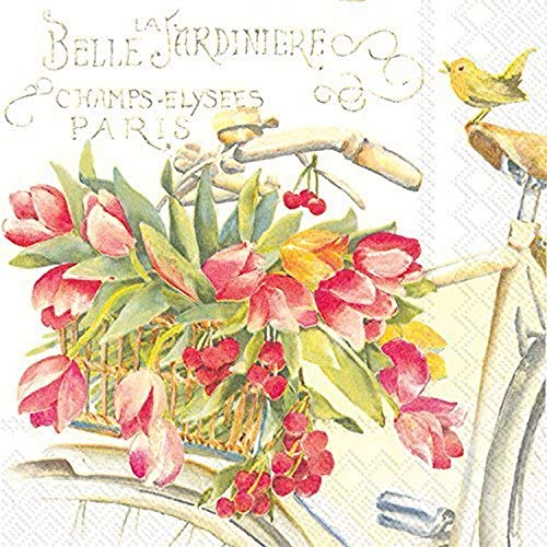 Celebrate the Home Floral 3-Ply Paper Luncheon Napkins, Bella La Jardiniere, 20 Count