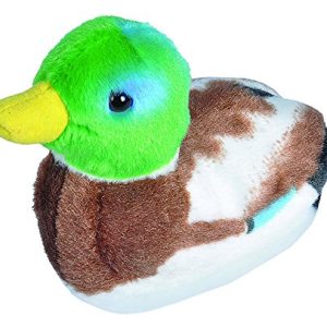 Wild Republic Audubon Birds Mallard Duck Plush with Authentic Bird Sound, Stuffed Animal, Bird Toys for Kids and Birders