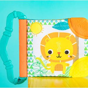 Bright Starts Teethe & Read Toy, Style May Vary