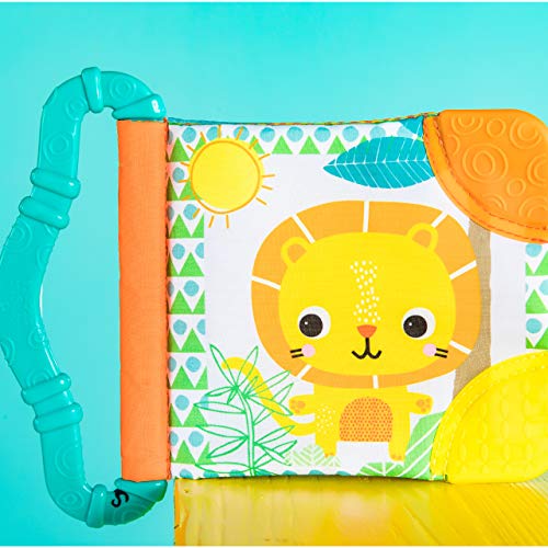 Bright Starts Teethe & Read Toy, Style May Vary