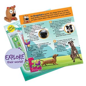 Learning Resources Beaker Creatures Series 2, Assorted Colors, 6-Pack, Ages 5+