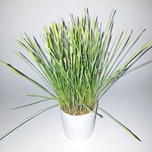 Uncle Milton Marvel Guardians of the Galaxy Grow and Glow Groot – Baby Groot Flower Pot