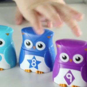 Learning Resources Snap-n-Learn Rainbow Color, Shape, Letter Owls