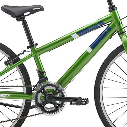 Diamondback Bicycles Insight 24 Youth Fitness Hybrid 24" Wheel, Green