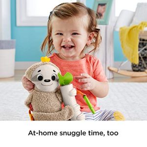Fisher-Price Slow Much Fun Stroller Sloth