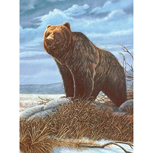 ROYAL BRUSH 8.75 by 11.75-Inch Junior Paint by Number Kit, Small, Grizzly Bear