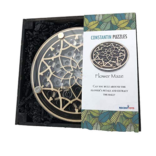 Project Genius JC002 Brain Teaser Puzzle, Wooden