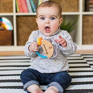 Baby Einstein Tiny Tambourine Wooden Musical Toy, 3 Months +