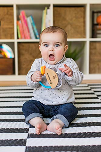 Baby Einstein Tiny Tambourine Wooden Musical Toy, 3 Months +