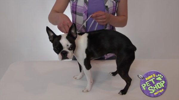 Rubies Teenage Mutant Ninja Turtles Pet Costume