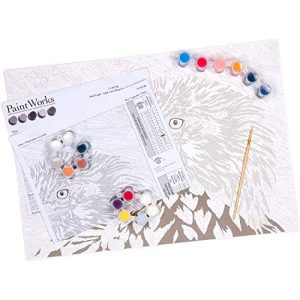 Dimensions 73-91728, Bald Eagle, PaintWorks Paint by Numbers Kit for Adults and Kids, 20'' x 14'