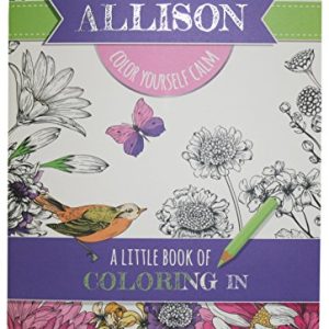 Coloring Books Allison Drawing Book