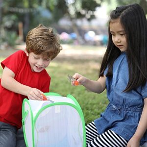 Educational Insights Geosafari Jr. Butterfly Bungalow: Life Science Introduction & STEM Learning