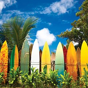 EuroGraphics Surfer's Paradise, Hawaii Puzzle (1000-Piece)