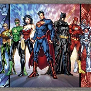 Trends International DC Comics - Justice League - The New 52 Wall Poster, 14.725" x 22.375", Barnwood Framed Version
