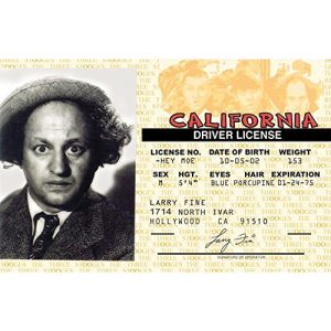 Signs 4 Fun NTIDL3 Stooges-Larry's Driver's License