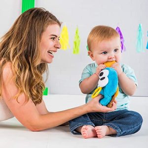 Bright Starts Sesame Street Cookie Mania Teether On-The-Go Take-Along Toy, Ages 3-12 Months