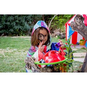 Edushape Ladybug Sorter
