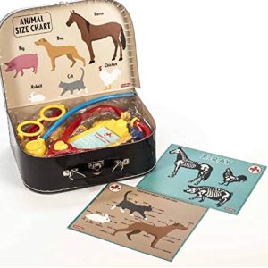 Schylling Veterinarian Kit