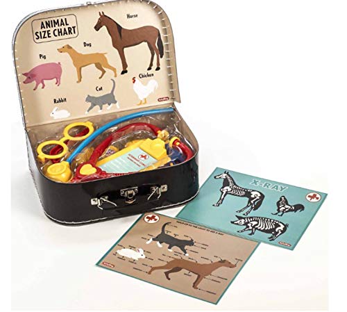 Schylling Veterinarian Kit