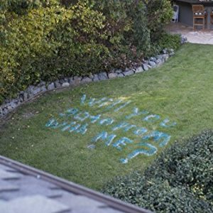 Testors 307589 - 3 PK Spray Chalk, 6 Oz, Blue