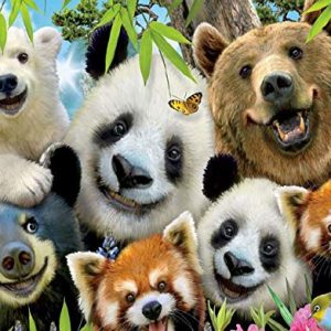 Selfies Bear Essentials Puzzle - 550Piece