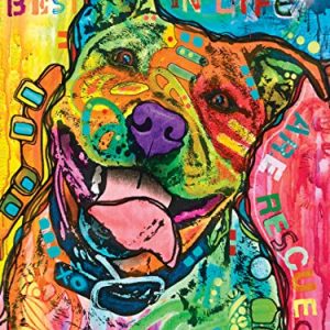 MasterPieces Dean Russo - The Best Things in Life 300pc EzGrip Puzzle