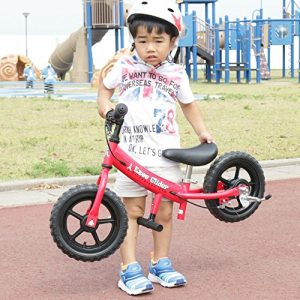Glide Bikes Ezee Glider