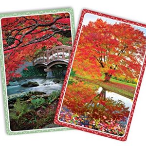Springbok Reflections Playing Cards
