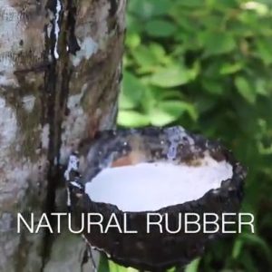 Oli & Carol Origami Boat, Mint