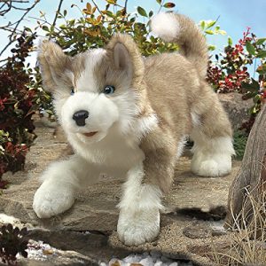 Folkmanis Wolf Pup Hand Puppet