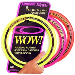Aerobie Sprint Ring 10`` (6044008)